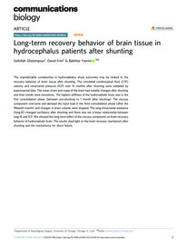 Long-term recovery behavior of brain tissue in hydrocephalus patients after  shunting